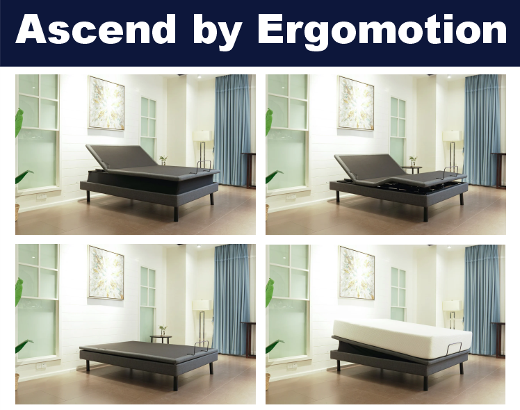 Chandler Ascend High-Low Adjustable Bed with Tilt