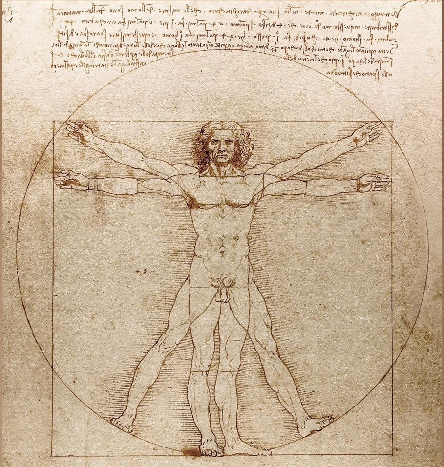 Chandler Vitruvian man drawing